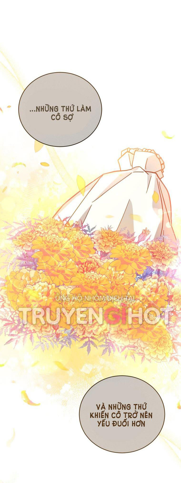 Quý Cô Không Thể Tiếp Cận: Chapter 49.5