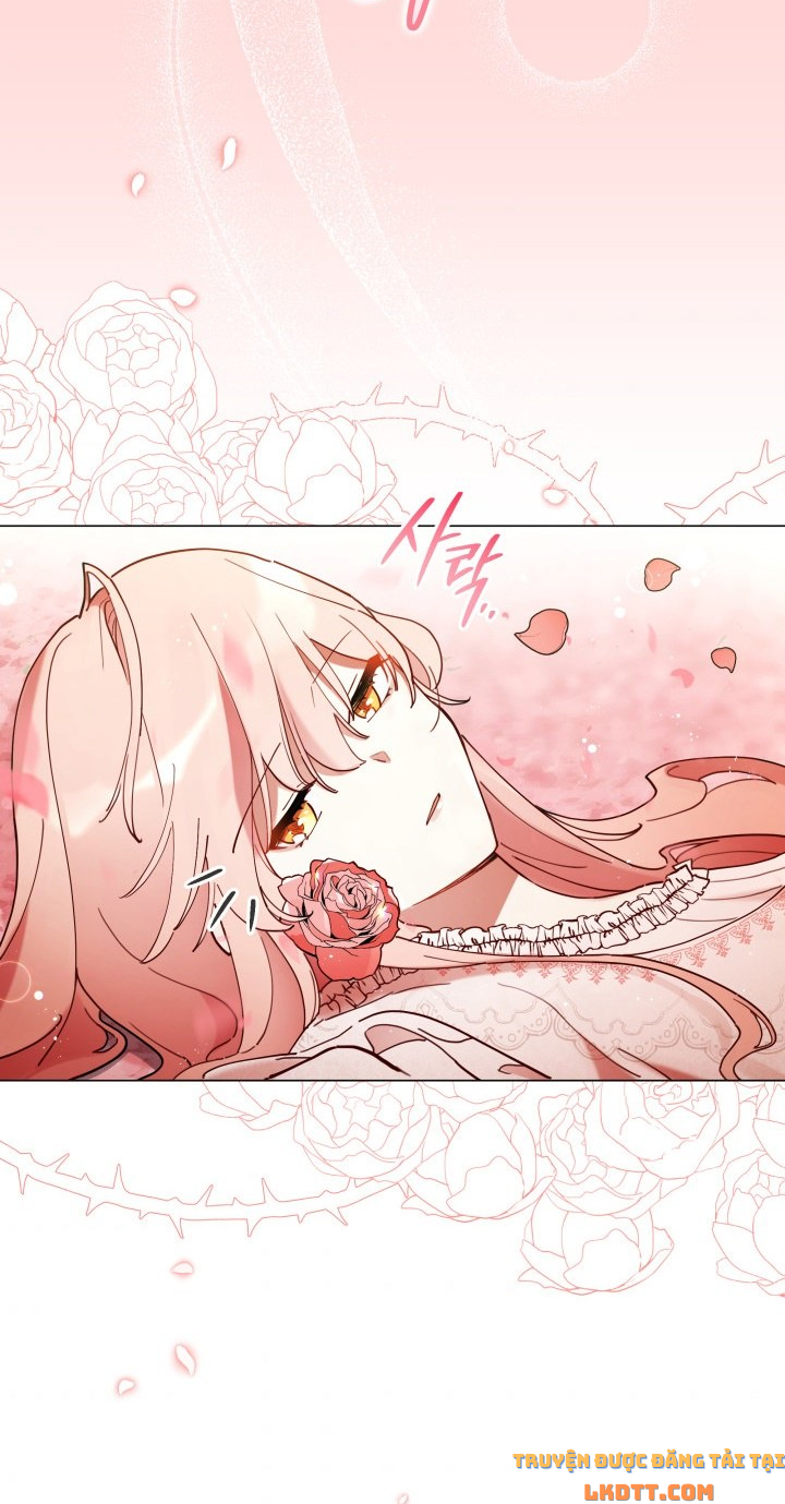 Quý Cô Không Thể Tiếp Cận: Chapter 5