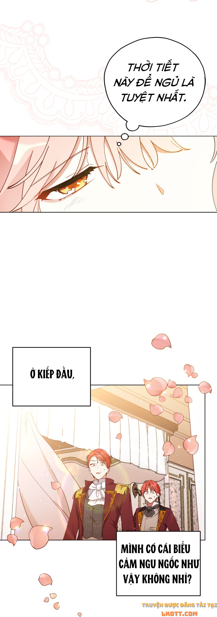 Quý Cô Không Thể Tiếp Cận: Chapter 5