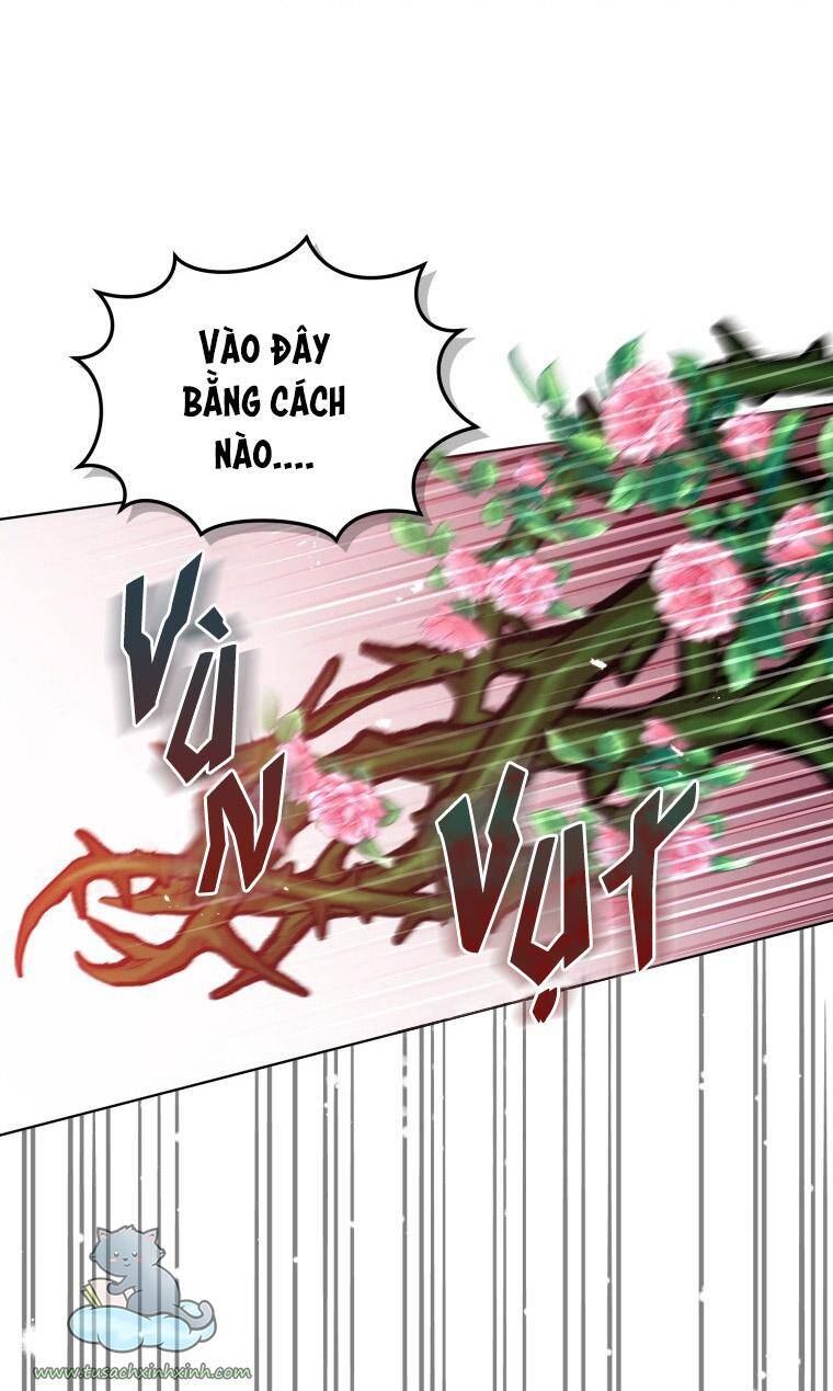 Quý Cô Không Thể Tiếp Cận: Chapter 58