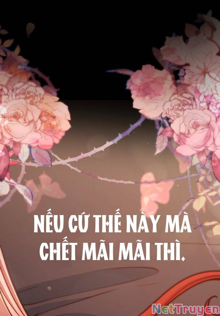 Quý Cô Không Thể Tiếp Cận: Chapter 65