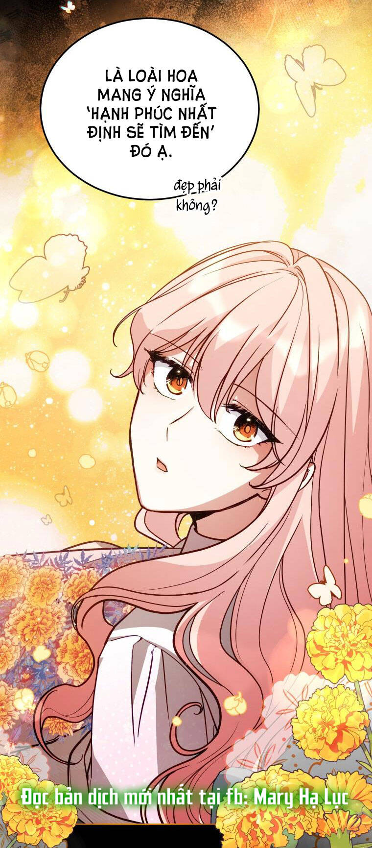 Quý Cô Không Thể Tiếp Cận: Chapter 66
