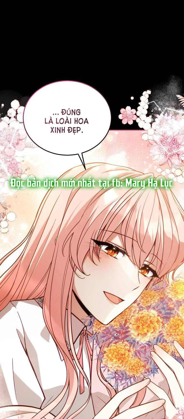 Quý Cô Không Thể Tiếp Cận: Chapter 66