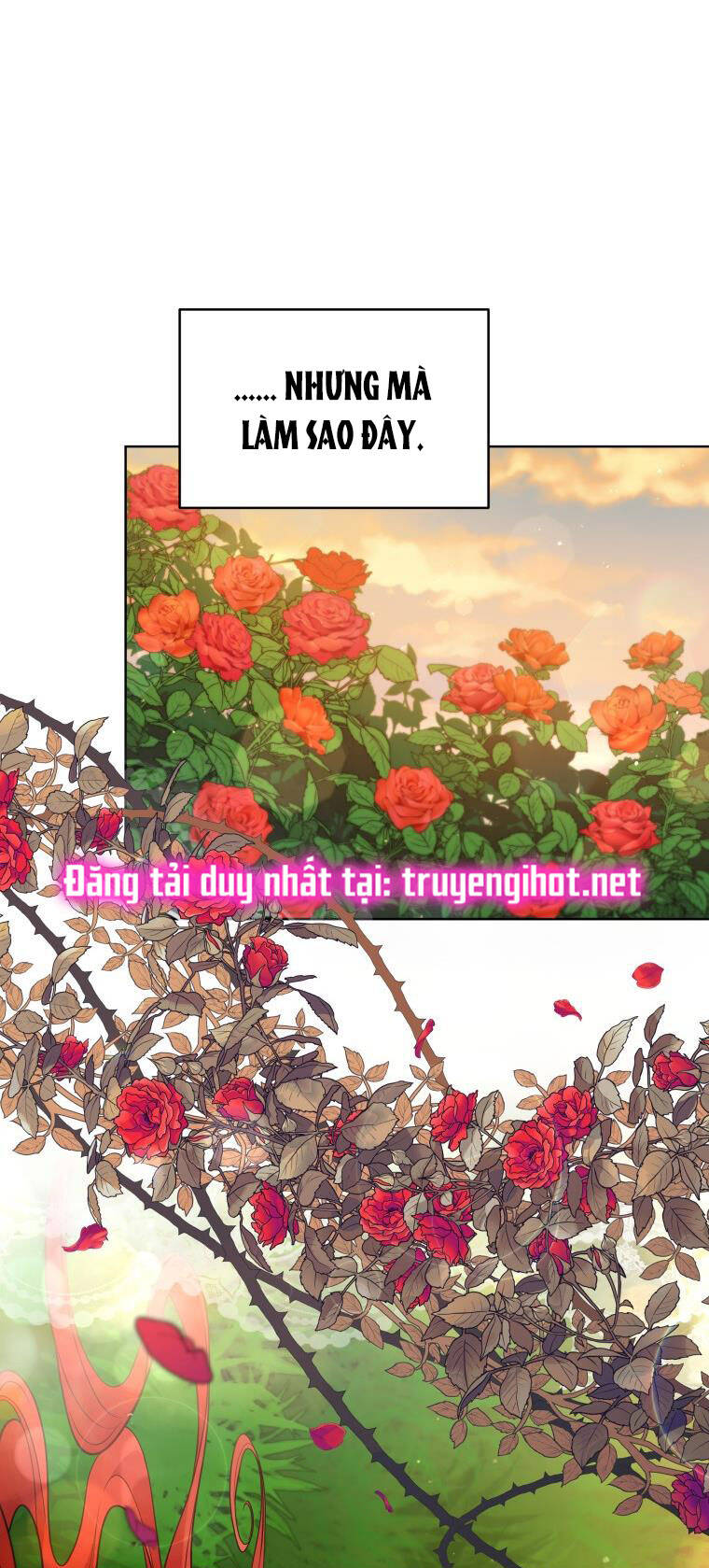 Quý Cô Không Thể Tiếp Cận: Chapter 66