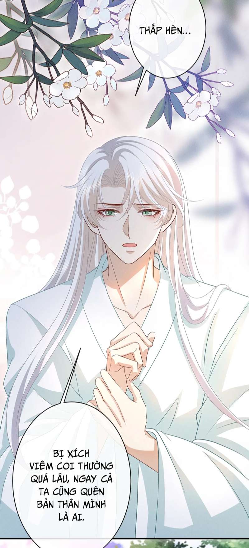 Sau Khi Ta Chết, Vương Gia Đau Không Thiết Sống: Chapter 20