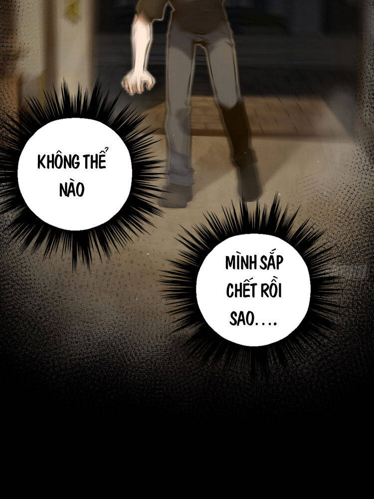 Xuyên Không Thành Chim: Chương 1
