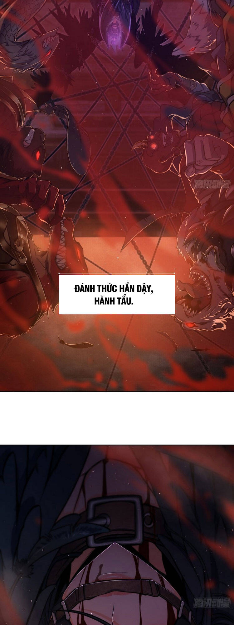 Xuyên Không Thành Chim: Chương 2