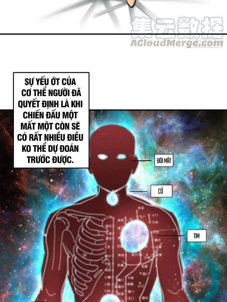 Xuyên Không Thành Chim: Chương 31
