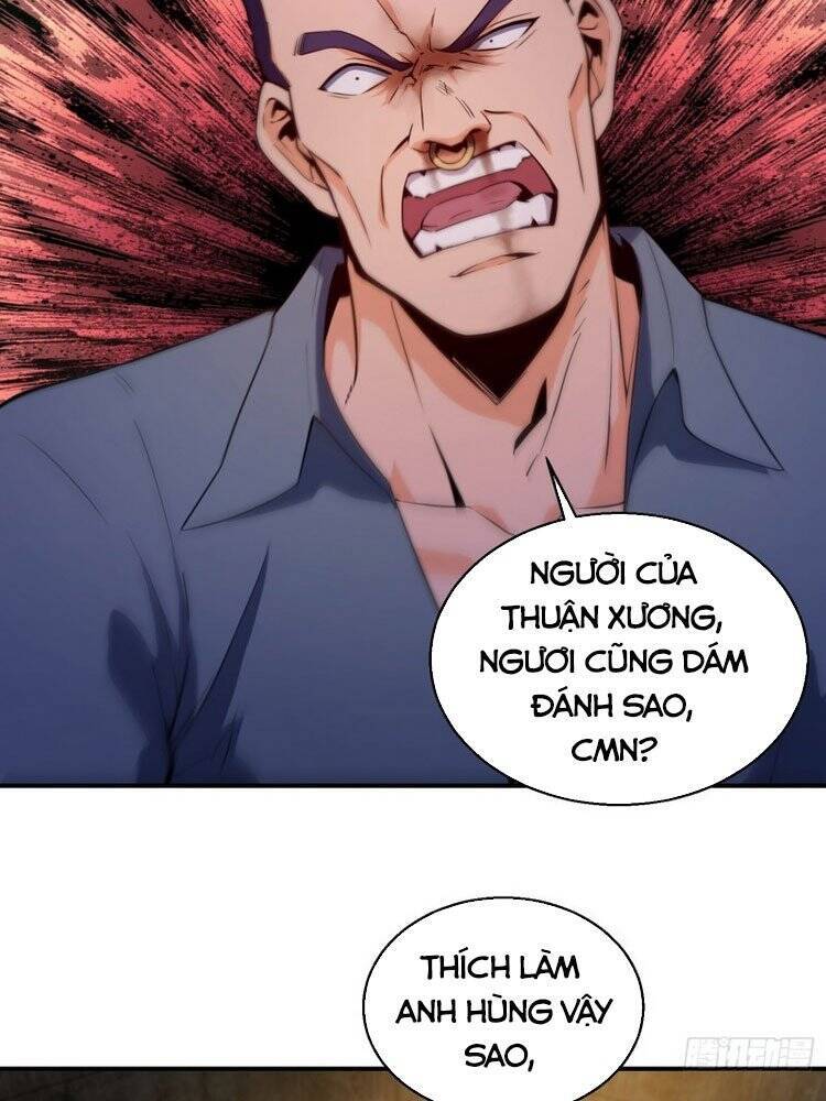 Xuyên Không Thành Chim: Chương 6