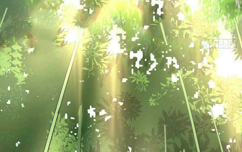 Ta Chỉ Muốn Bị Các Vị Đánh Chết: Chapter 0