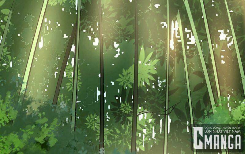 Ta Chỉ Muốn Bị Các Vị Đánh Chết: Chapter 0