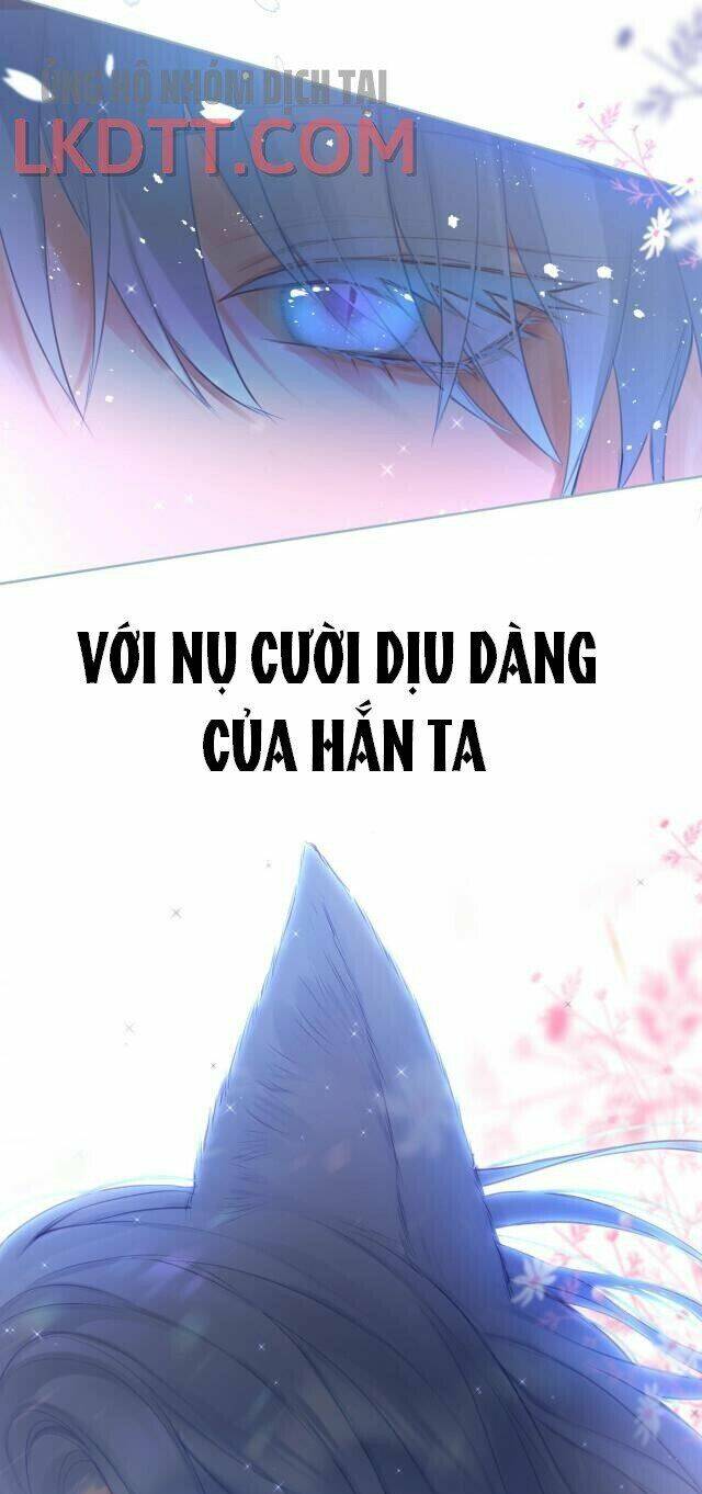 Cạm Bẫy Của Hồ Ly: Chapter 1