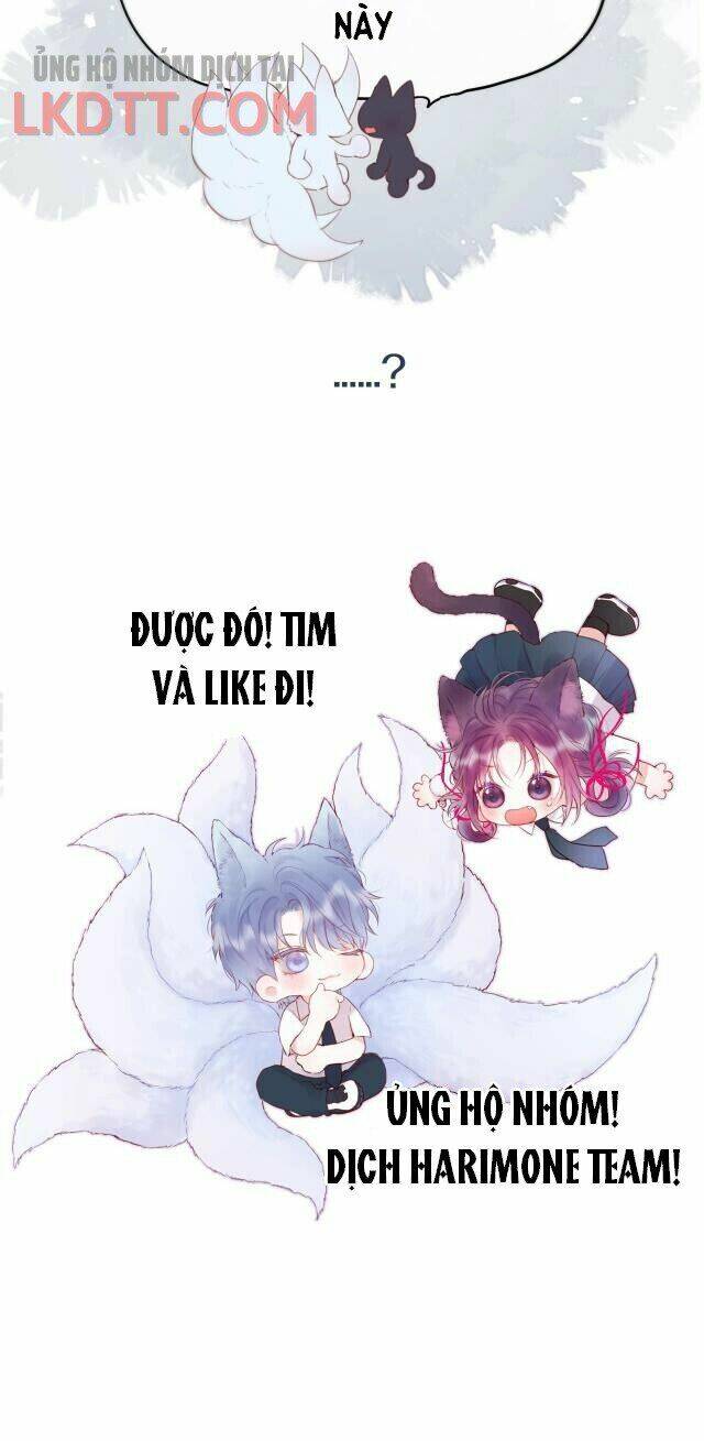 Cạm Bẫy Của Hồ Ly: Chapter 1