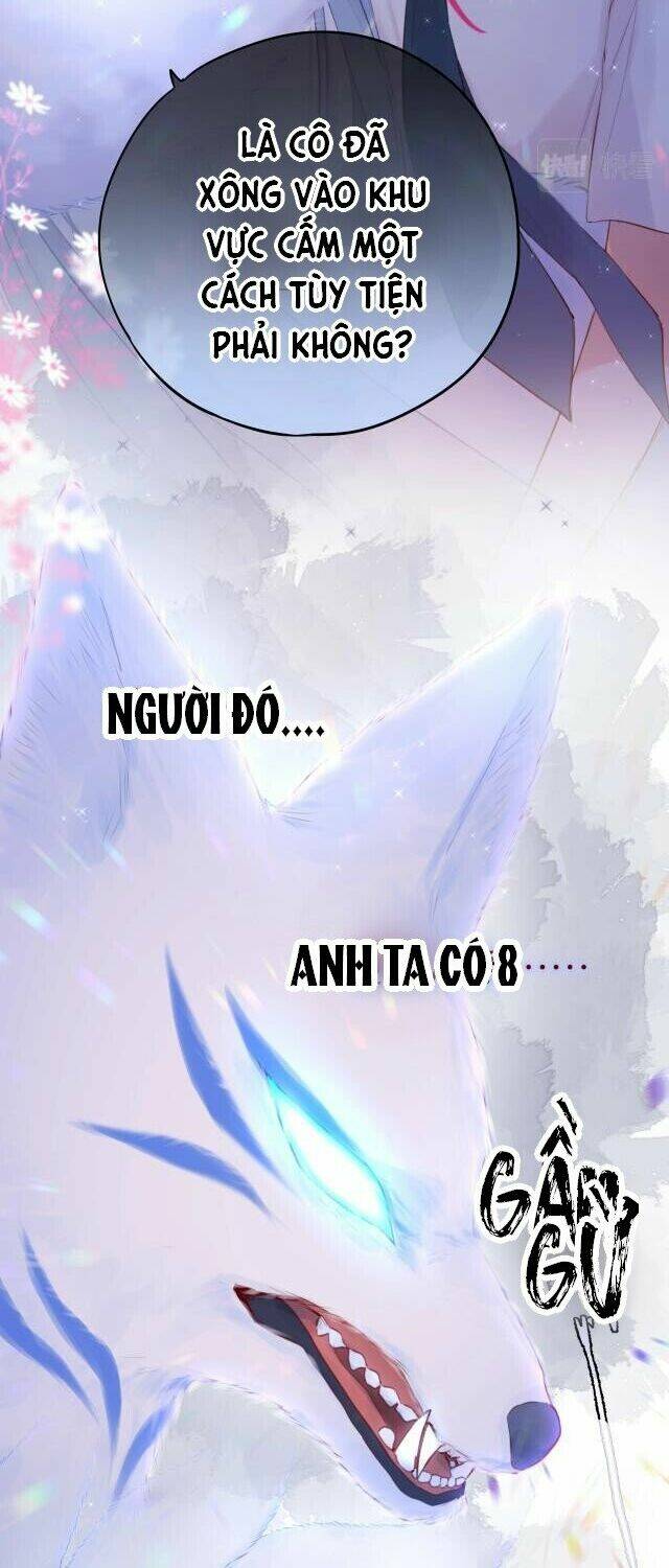 Cạm Bẫy Của Hồ Ly: Chapter 1