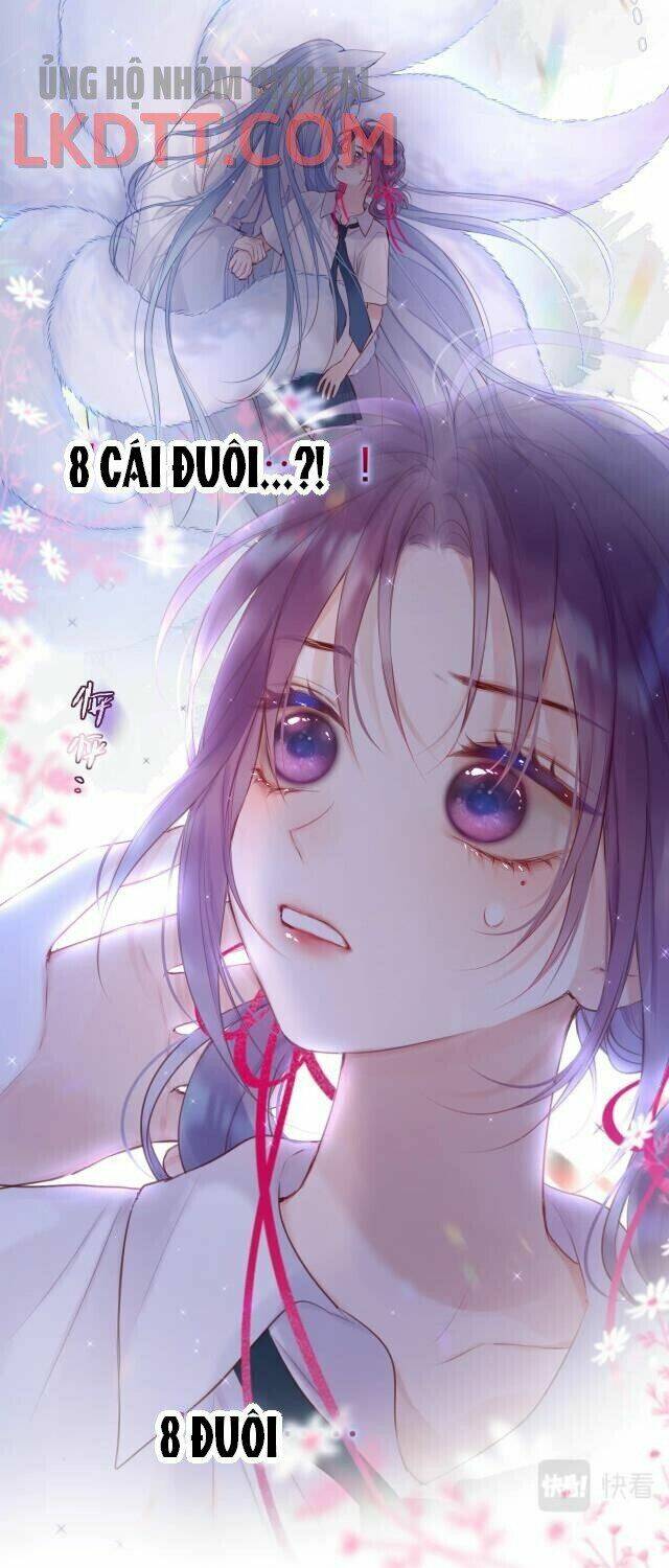 Cạm Bẫy Của Hồ Ly: Chapter 1