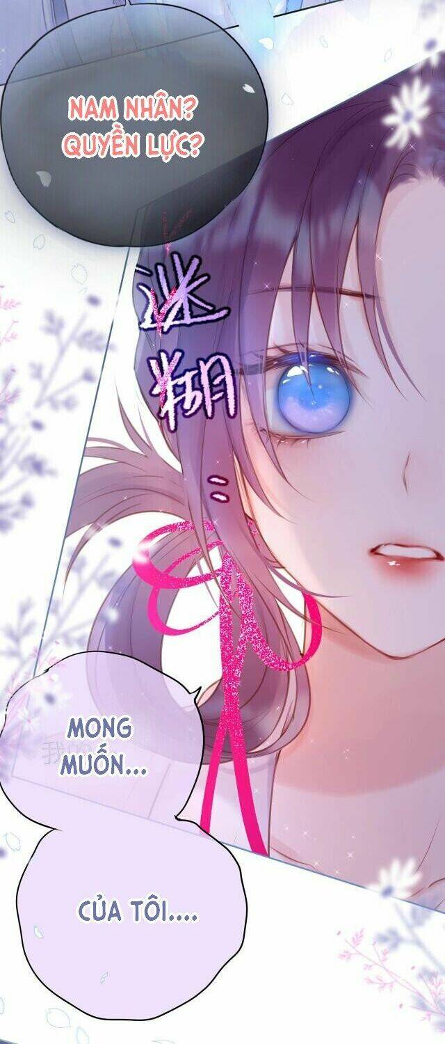 Cạm Bẫy Của Hồ Ly: Chapter 1