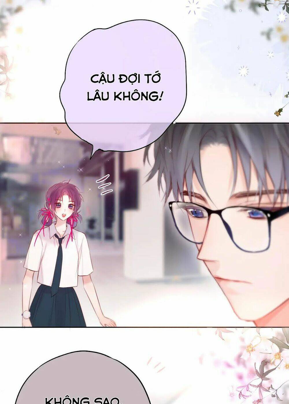 Cạm Bẫy Của Hồ Ly: Chapter 11