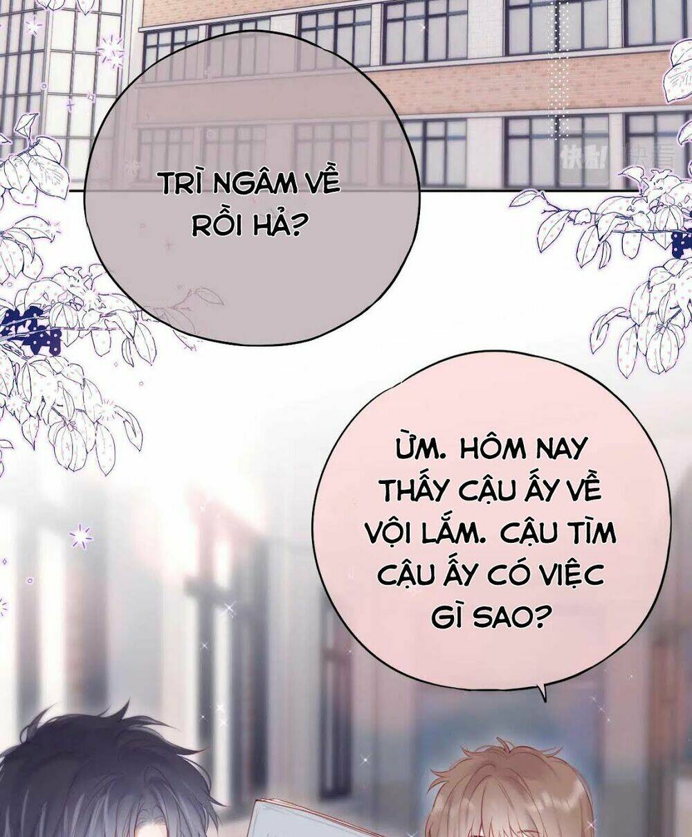 Cạm Bẫy Của Hồ Ly: Chapter 11