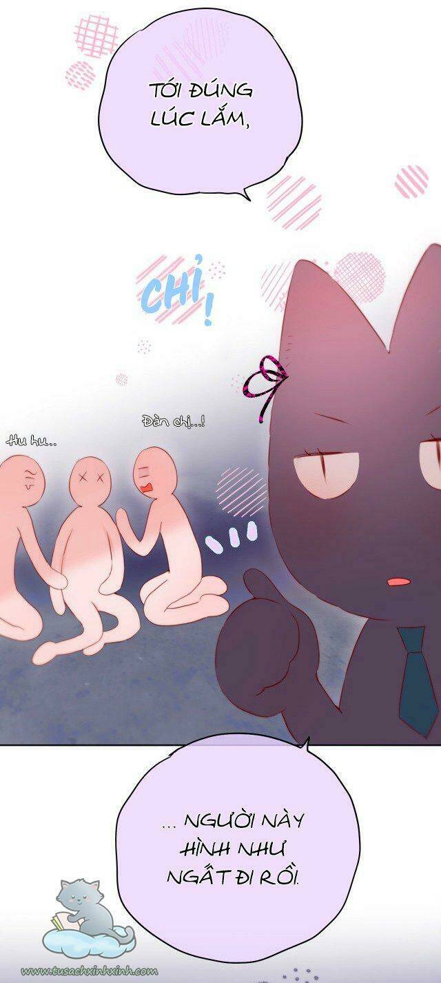 Cạm Bẫy Của Hồ Ly: Chapter 15