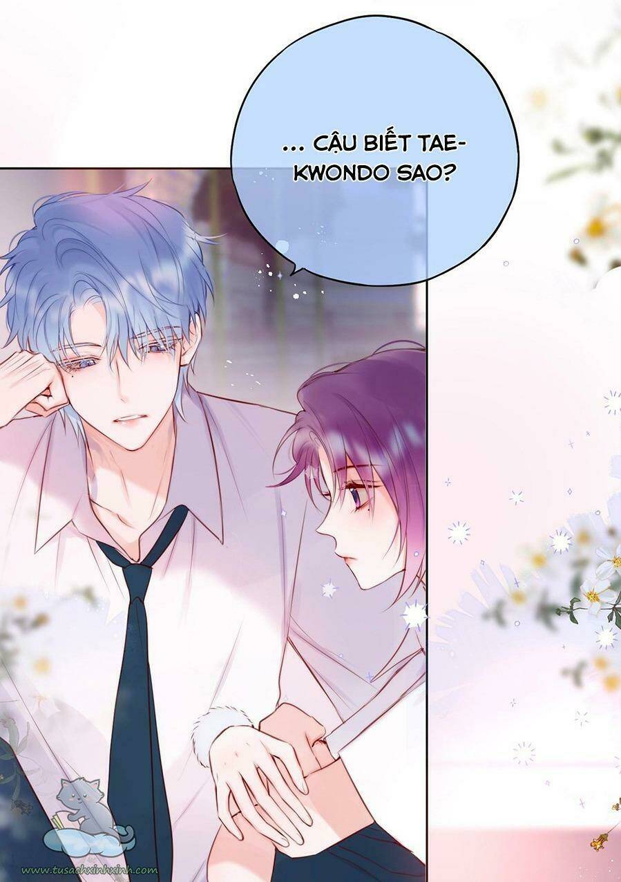 Cạm Bẫy Của Hồ Ly: Chapter 16