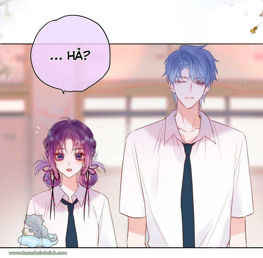Cạm Bẫy Của Hồ Ly: Chapter 16