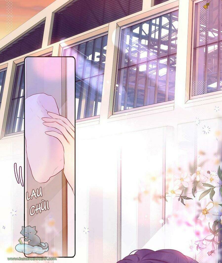 Cạm Bẫy Của Hồ Ly: Chapter 16