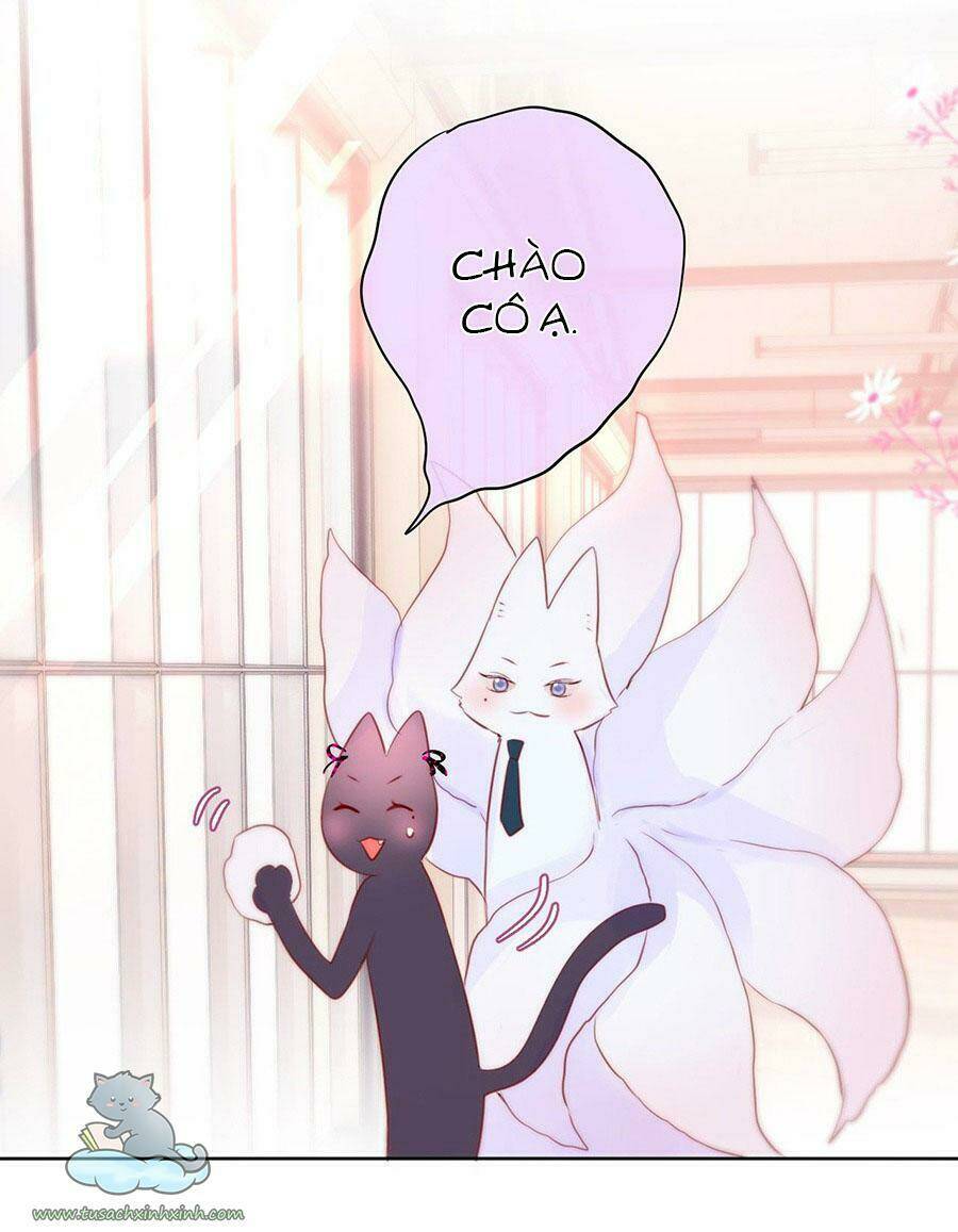 Cạm Bẫy Của Hồ Ly: Chapter 17
