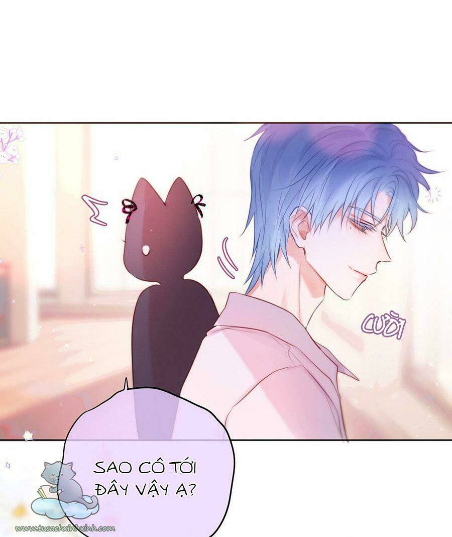 Cạm Bẫy Của Hồ Ly: Chapter 17