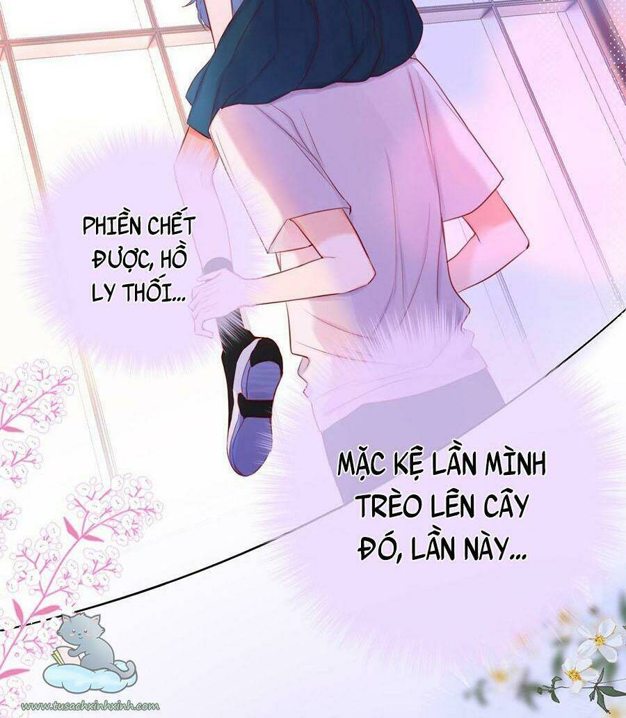 Cạm Bẫy Của Hồ Ly: Chapter 17