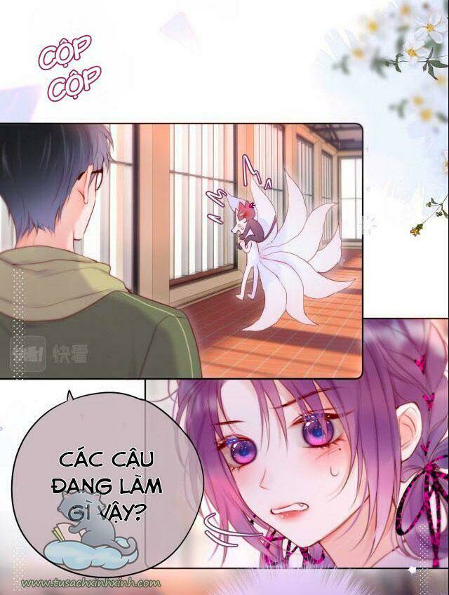 Cạm Bẫy Của Hồ Ly: Chapter 18