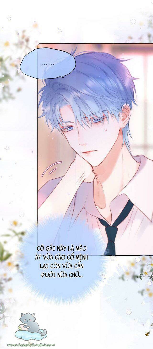 Cạm Bẫy Của Hồ Ly: Chapter 18