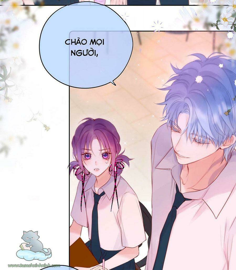 Cạm Bẫy Của Hồ Ly: Chapter 19
