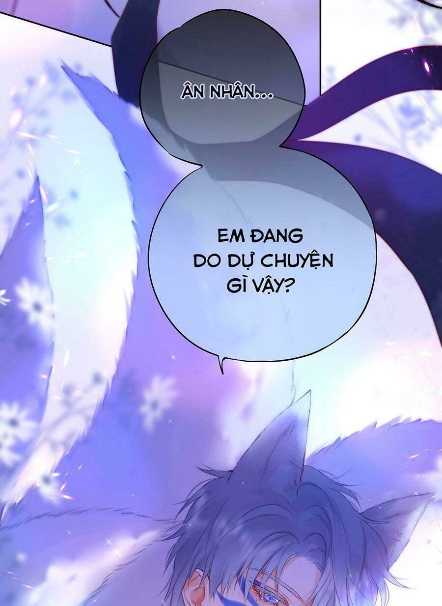 Cạm Bẫy Của Hồ Ly: Chapter 19