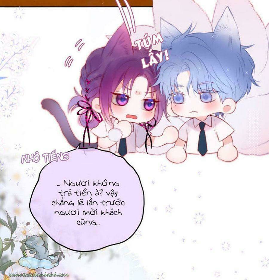 Cạm Bẫy Của Hồ Ly: Chapter 19