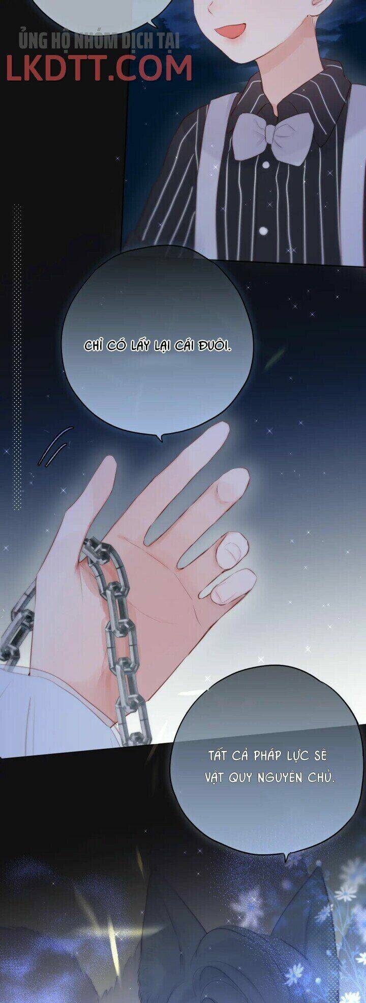 Cạm Bẫy Của Hồ Ly: Chapter 2