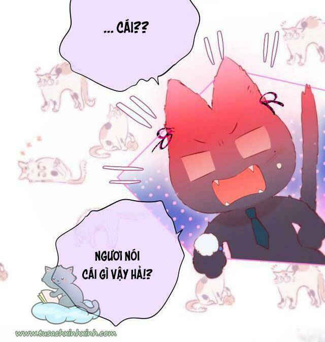 Cạm Bẫy Của Hồ Ly: Chapter 22