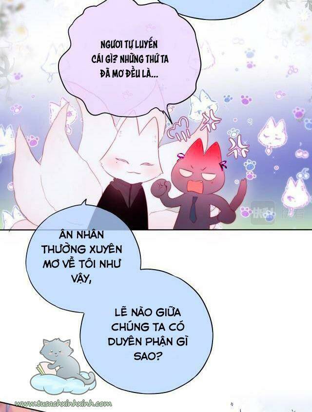 Cạm Bẫy Của Hồ Ly: Chapter 22