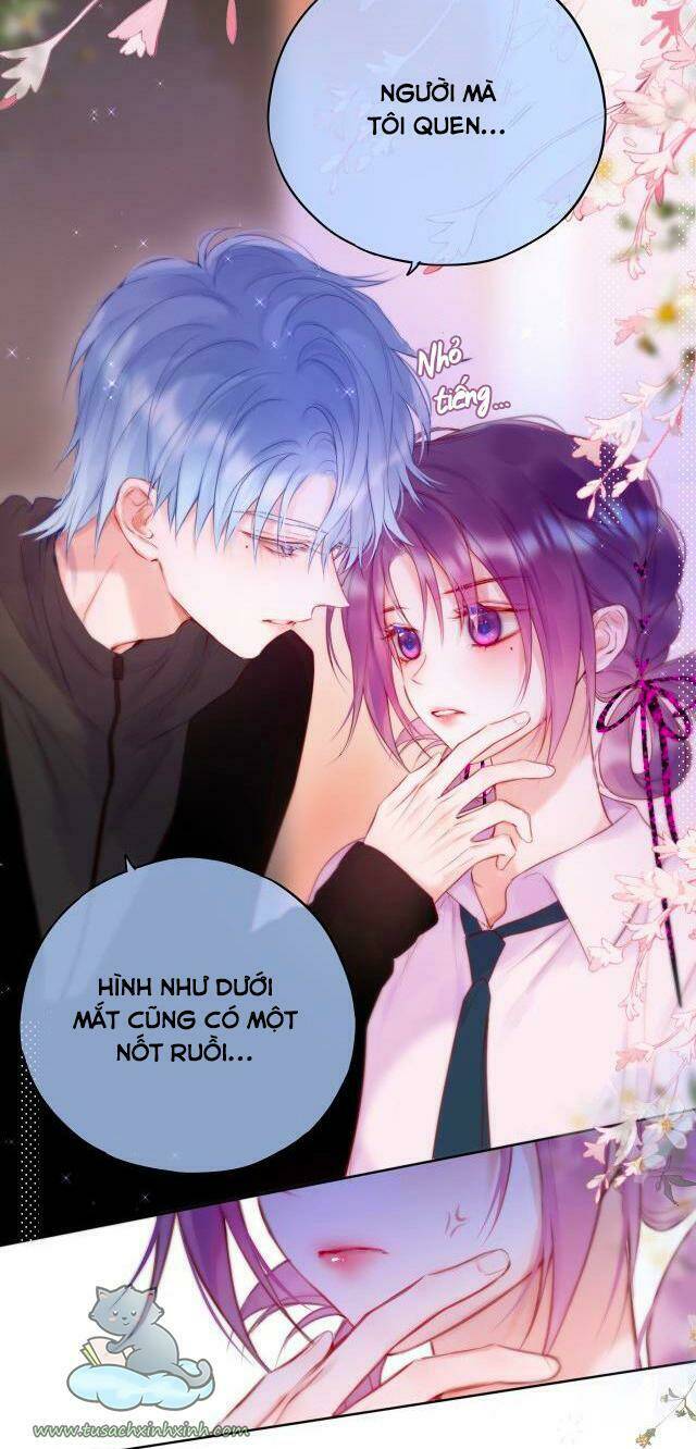 Cạm Bẫy Của Hồ Ly: Chapter 22