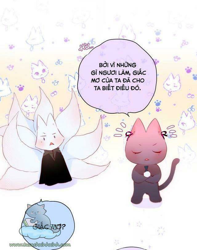 Cạm Bẫy Của Hồ Ly: Chapter 22