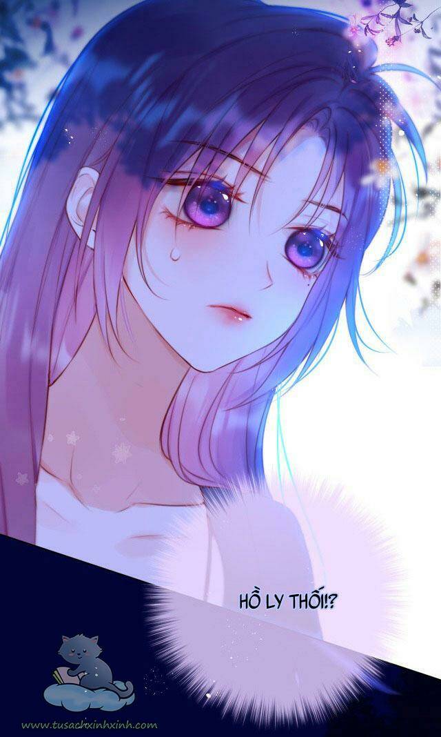 Cạm Bẫy Của Hồ Ly: Chapter 26