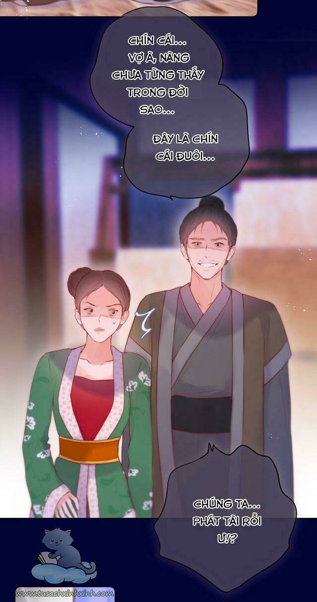 Cạm Bẫy Của Hồ Ly: Chapter 26