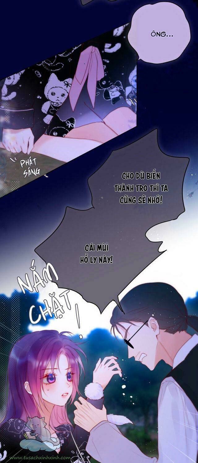 Cạm Bẫy Của Hồ Ly: Chapter 26