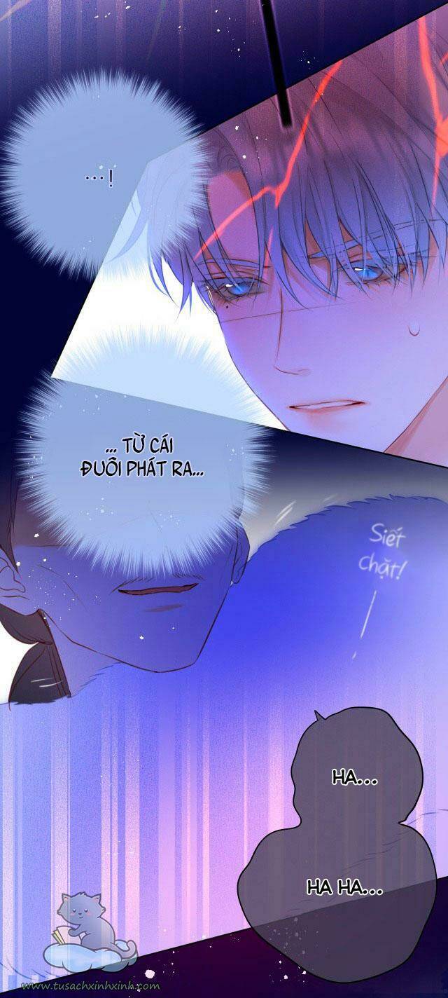 Cạm Bẫy Của Hồ Ly: Chapter 27