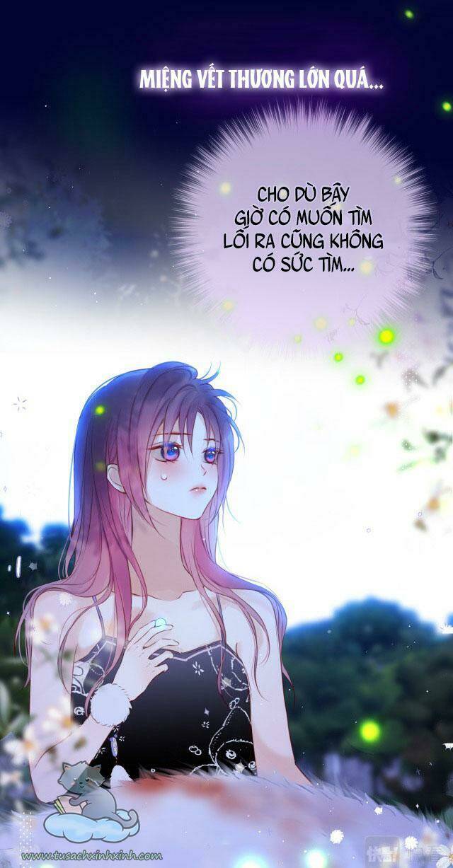 Cạm Bẫy Của Hồ Ly: Chapter 29