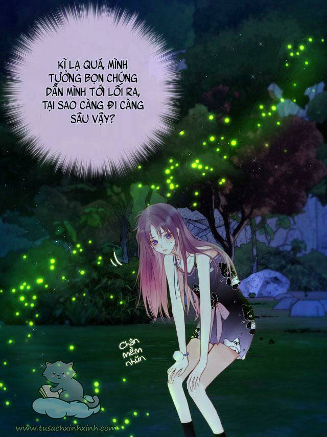 Cạm Bẫy Của Hồ Ly: Chapter 29