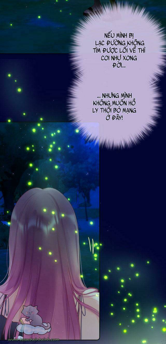 Cạm Bẫy Của Hồ Ly: Chapter 29