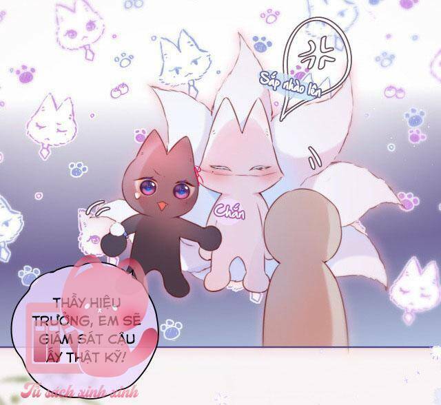 Cạm Bẫy Của Hồ Ly: Chapter 34