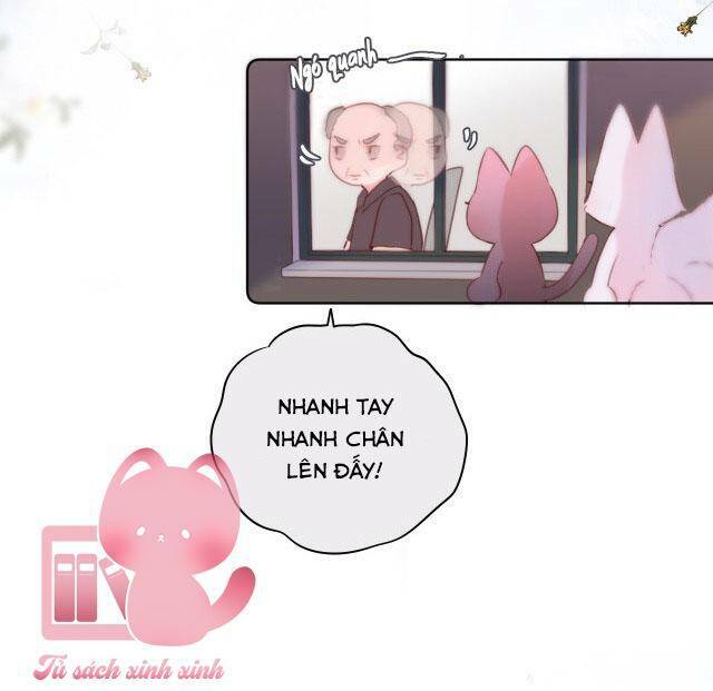 Cạm Bẫy Của Hồ Ly: Chapter 34
