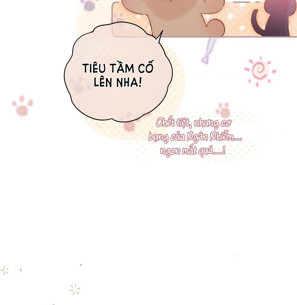 Cạm Bẫy Của Hồ Ly: Chapter 39.2