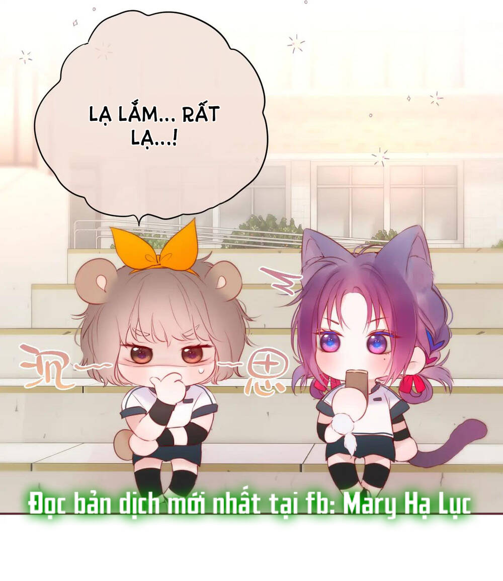 Cạm Bẫy Của Hồ Ly: Chapter 39.2